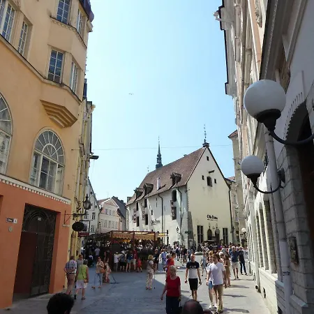 Sunny And Spacious With Terrace * Tallinn
